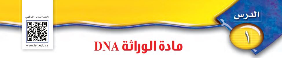 الدرس الأول: مادة الوراثة DNA